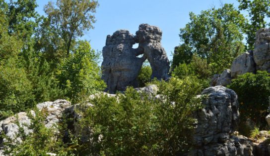 Bois de Païolive un patrimoine Naturel en Ardèche